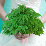 Marihuana antiestrés, ¿una buena opción antes de la boda?